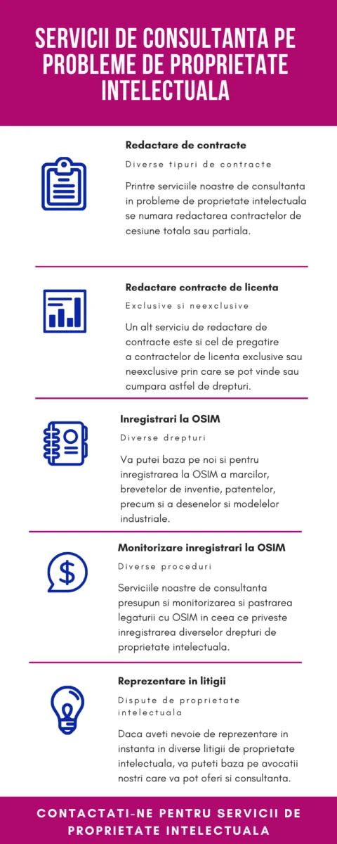 probelme de proprietate intelectuala